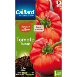 GRAINES TOMATE RUSSE CAILLARD