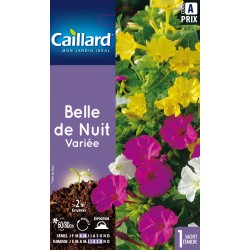GRAINES BELLE DE NUIT CAILLARD