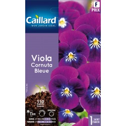 Graines Viola cornuta bleue...
