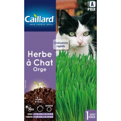 Graines Herbe à chat CAILLARD