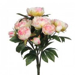 Bouquet Pivoine Rose Clair...