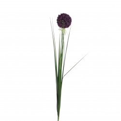 Tige Allium Violet Pvc H80...