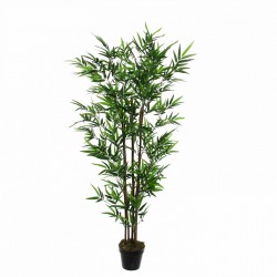 Bambou En Pot Vert H155-Ø89...