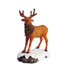 Cerf -Collection...