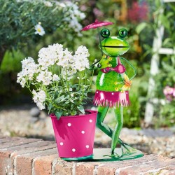 Cache pot grenouille Brolly...