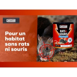 CAUSSADE Rats&souris forte infestation Blocs 12X25G TOUS LIEUX