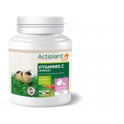 ACTIPLANT'NAC Vitamine c...