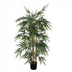 Bamboo En Pot Vert H150-Ø75...