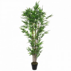Bambou En Pot Vert H180-Ø59...