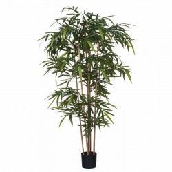 Bamboo En Pot Vert H180-Ø74...