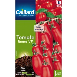 Graines Tomate roma vf 10M2...