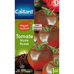 Graines Tomate noire russe...
