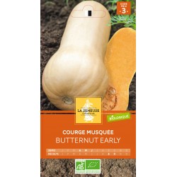 Courge Butternut Musquée - Les graines Bio Jaime-jardiner.com