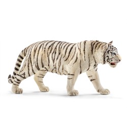 Tigre Blanc Male Wild Life...
